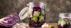 Tajemství fermentace: Přehled pojmů, které by měl znát každý milovník jídla